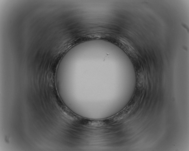 X0000092060414200709121010
