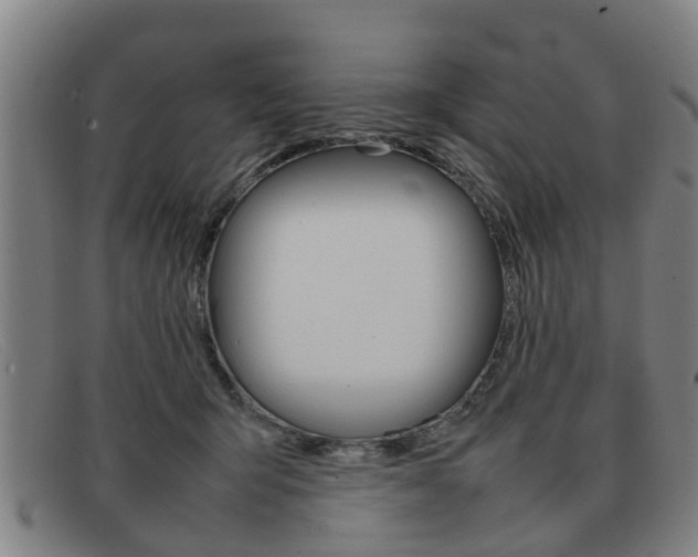 X0000092060415200709121010