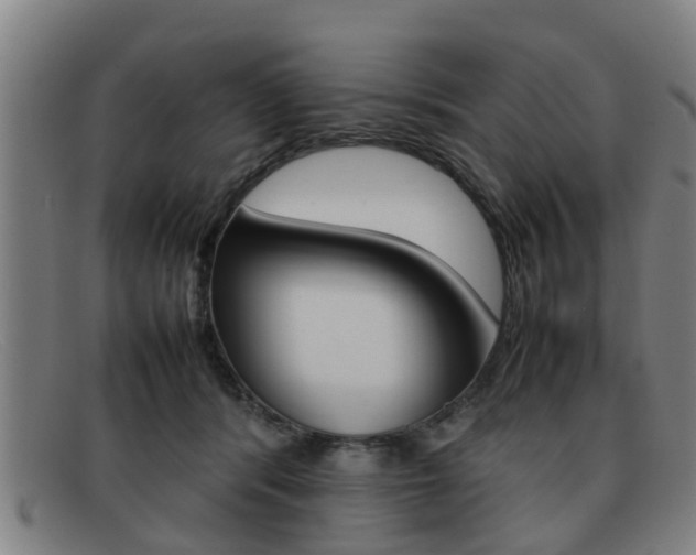 X0000092060416200709121010