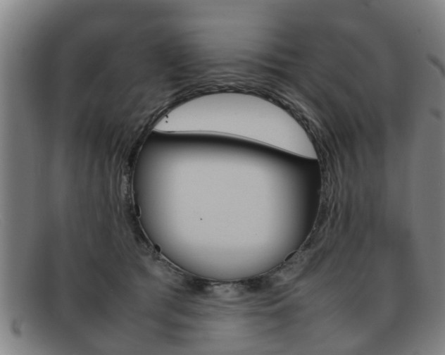 X0000092060417200709121010