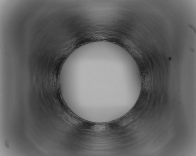 X0000092060418200709121010