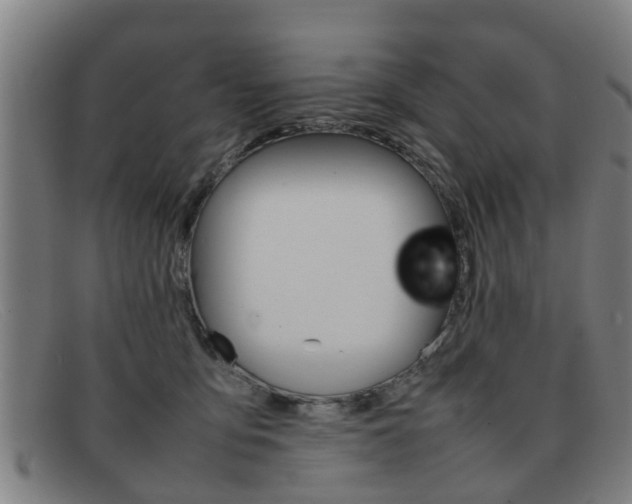 X0000092060419200709121010