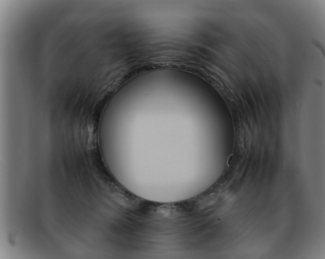 X0000092060420200709121010