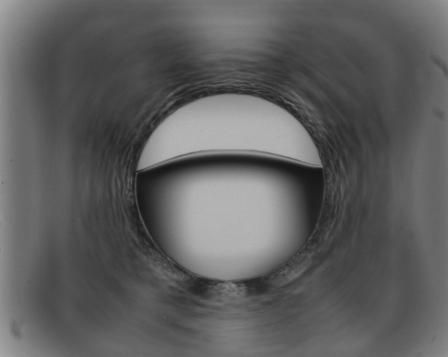 X0000092060421200709121010