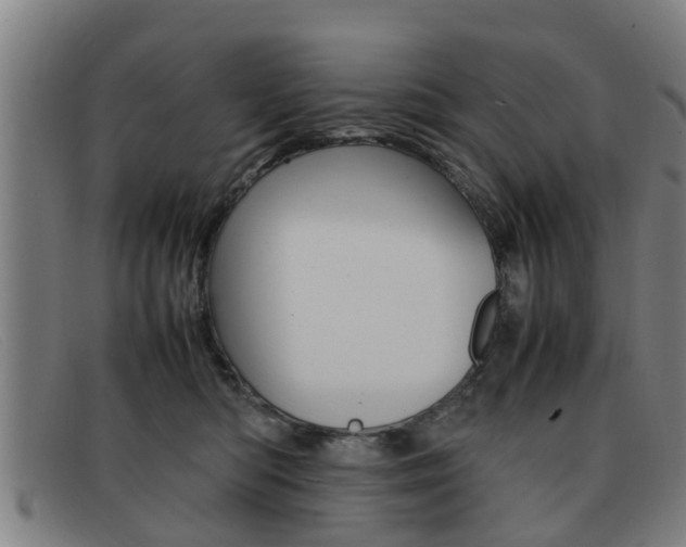 X0000092060422200709121010