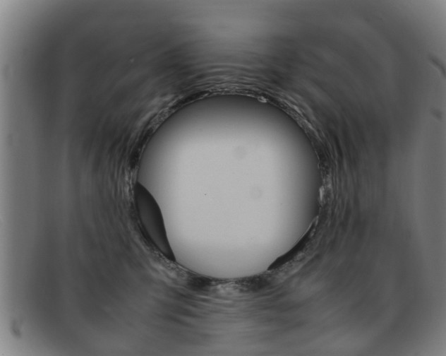 X0000092060423200709121010