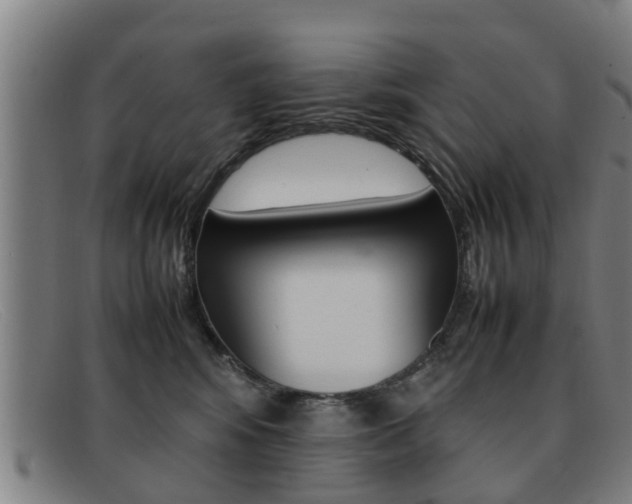 X0000092060424200709121010