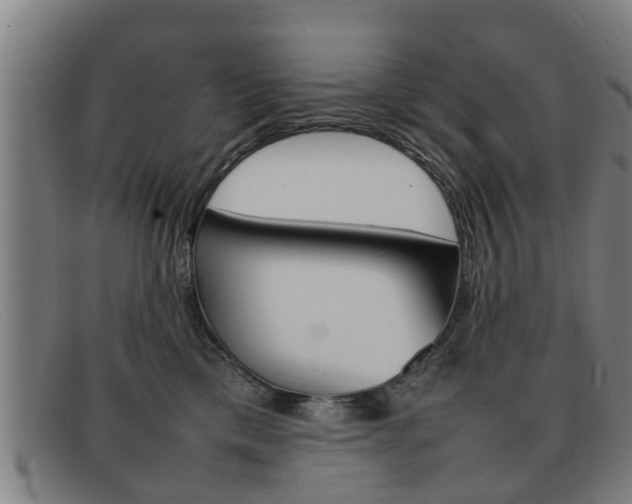X0000092060425200709121009
