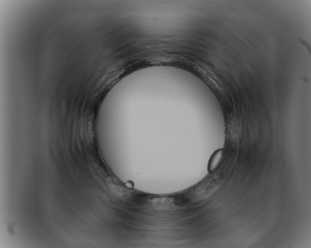 X0000092060426200709121009