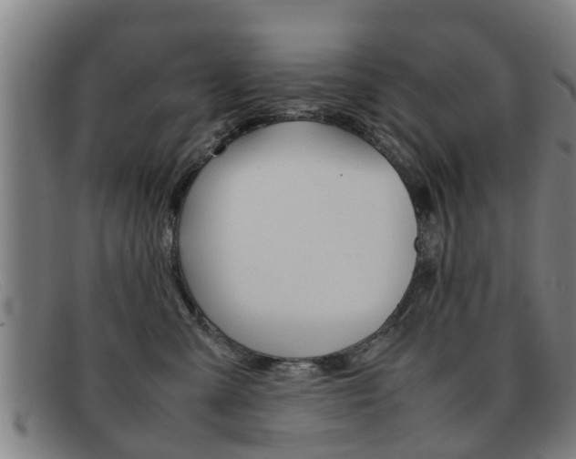 X0000092060427200709121009