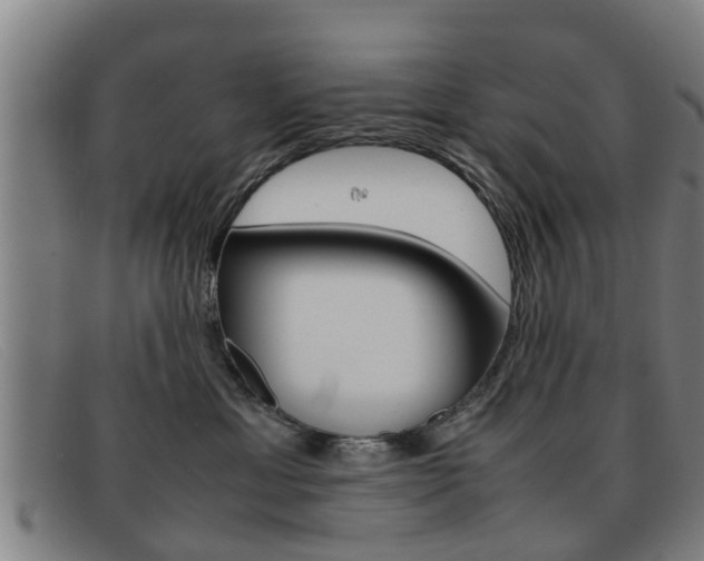 X0000092060429200709121009