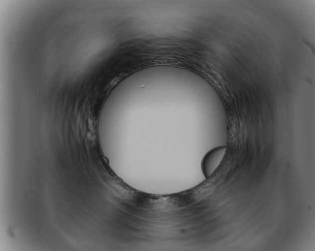 X0000092060430200709121009
