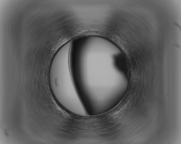 X0000092060433200709121009