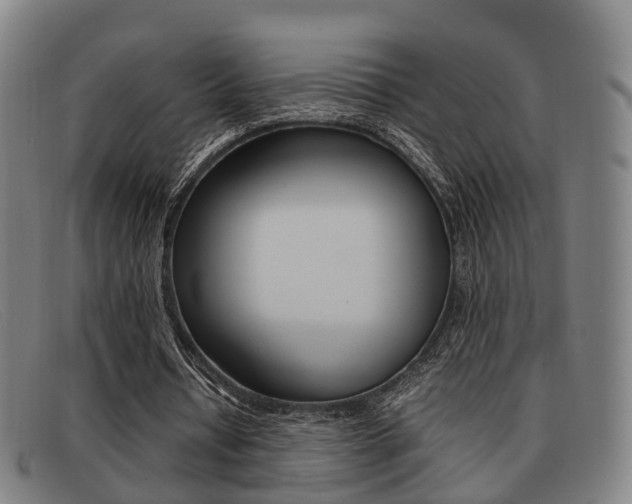 X0000092060434200709121009