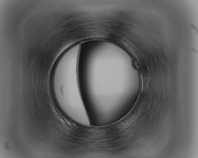 X0000092060435200709121009