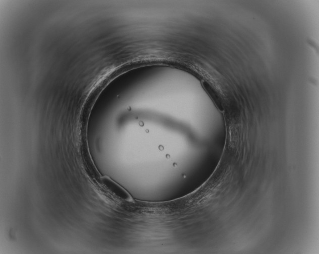 X0000092060436200709121009