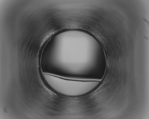 X0000092060438200709121009