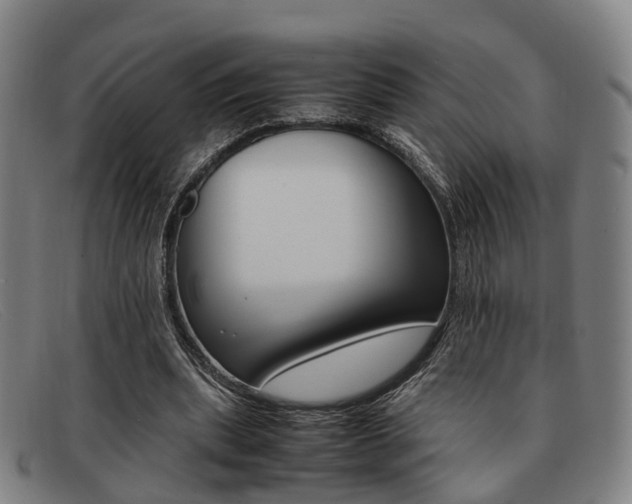 X0000092060439200709121009