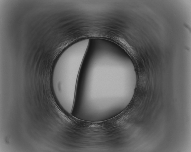 X0000092060441200709121009