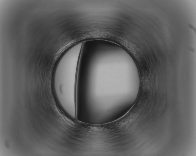 X0000092060442200709121009