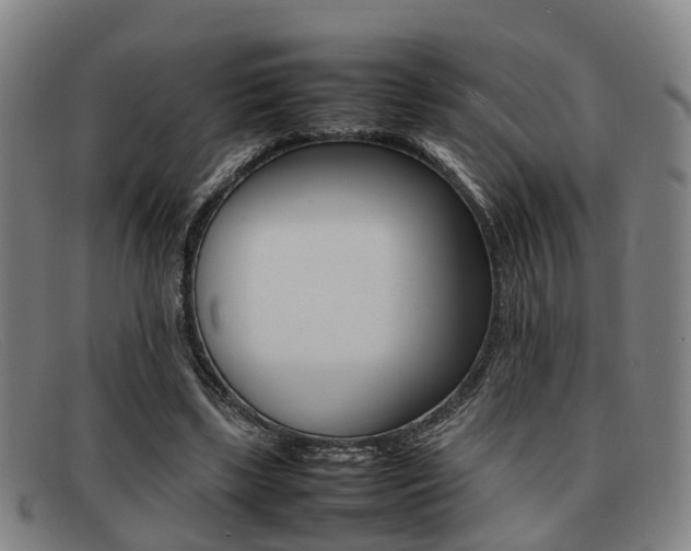 X0000092060443200709121009
