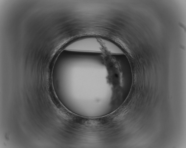 X0000092060444200709121009