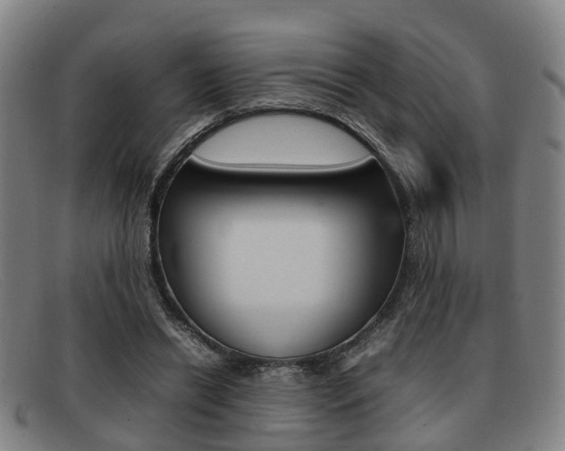 X0000092060446200709121009