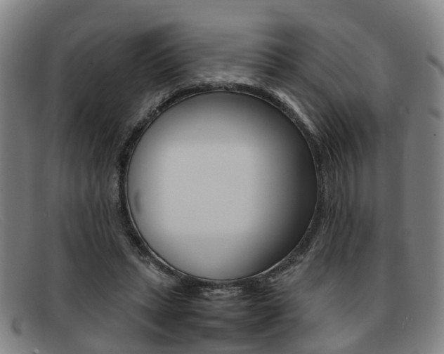 X0000092060447200709121009