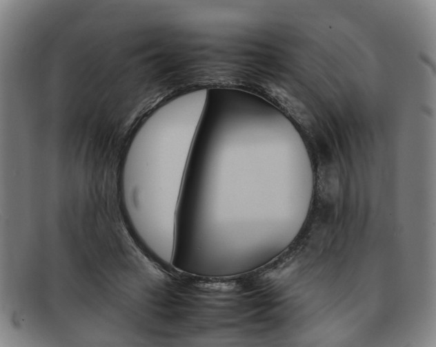 X0000092060449200709121009