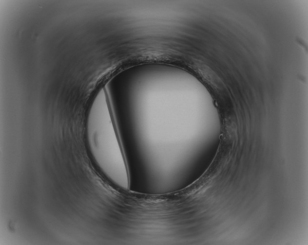 X0000092060450200709121009