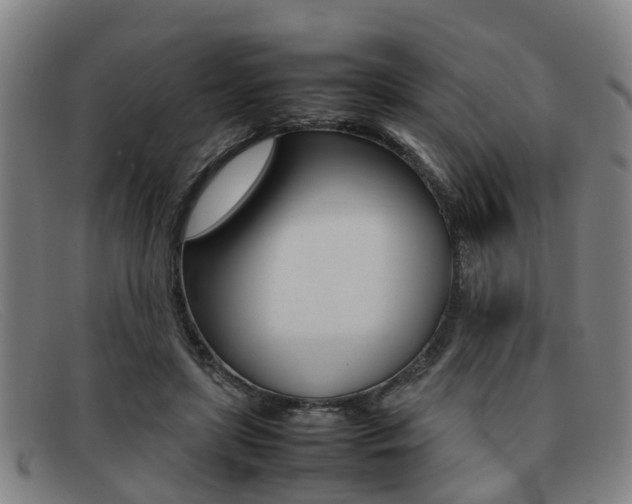X0000092060451200709121009