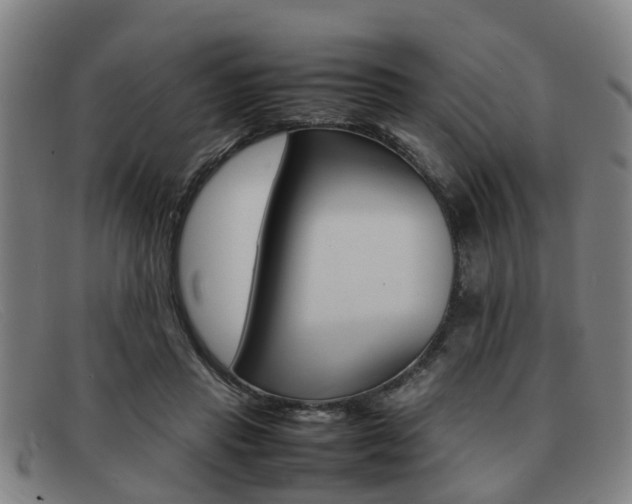 X0000092060453200709121009