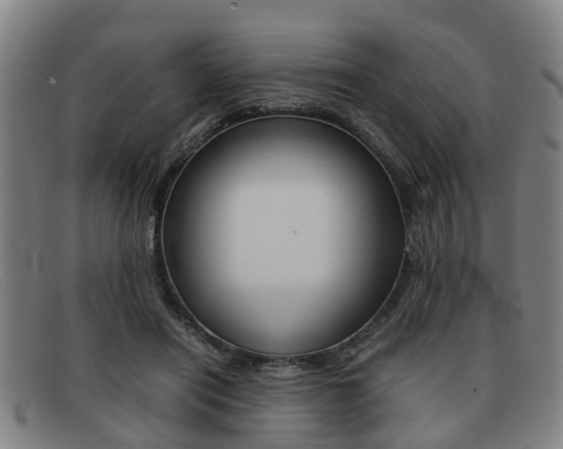 X0000092060454200709121009