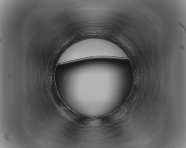 X0000092060456200709121009