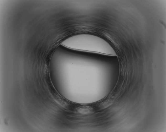 X0000092060459200709121009