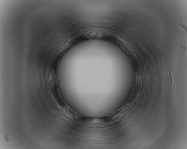 X0000092060460200709121009