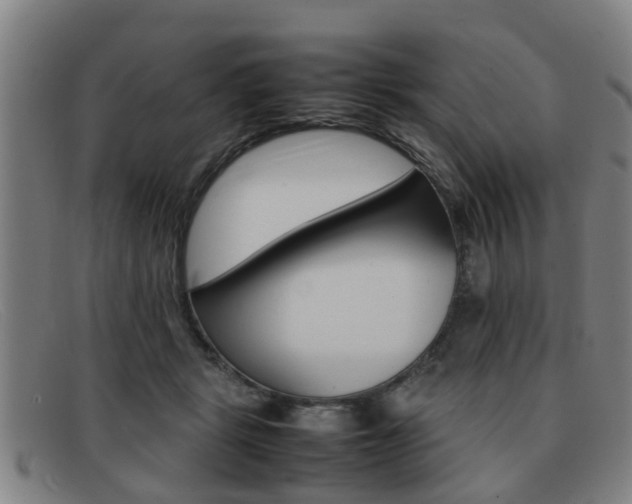X0000092060461200709121009