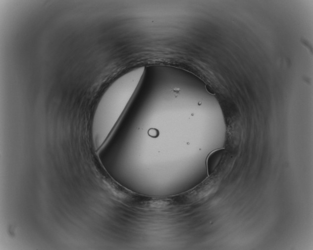 X0000092060462200709121009