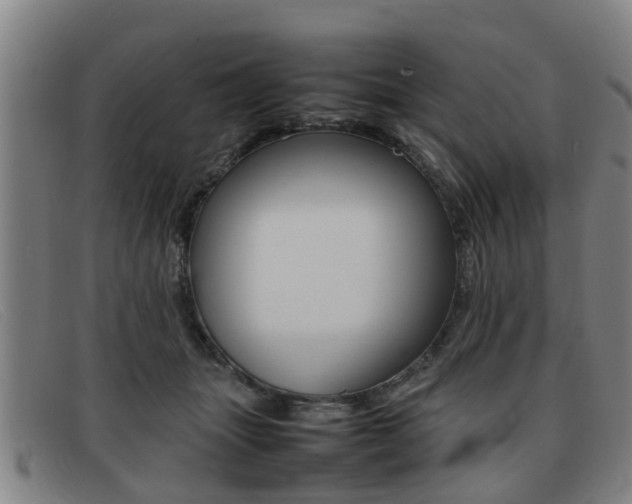 X0000092060463200709121009