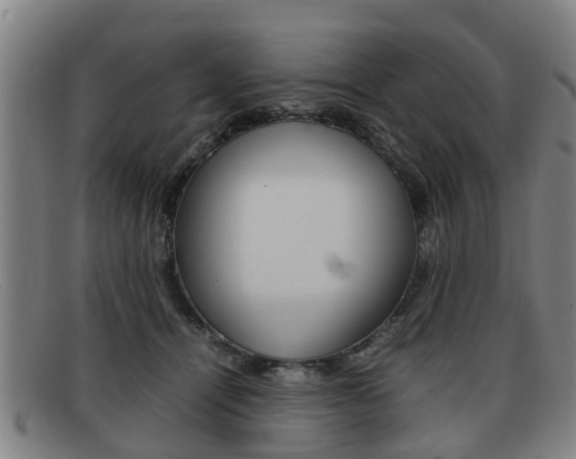 X0000092060464200709121009