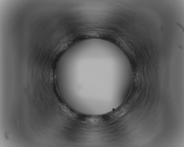 X0000092060466200709121009