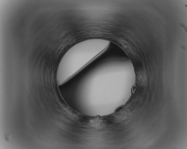X0000092060470200709121009