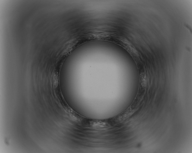X0000092060471200709121009