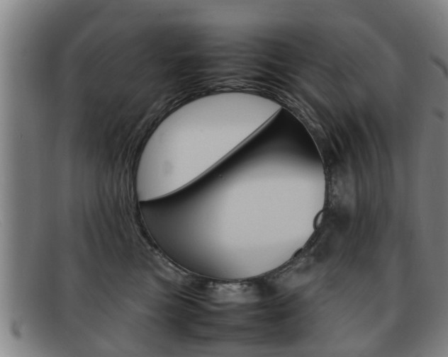 X0000092060473200709121009