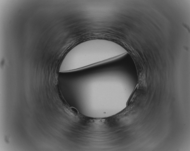 X0000092060474200709121009