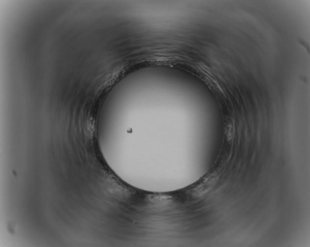 X0000092060476200709121009