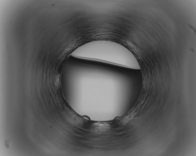 X0000092060477200709121009
