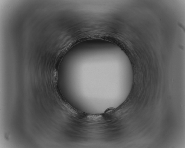 X0000092060480200709121009