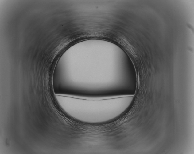 X0000092060483200709121009