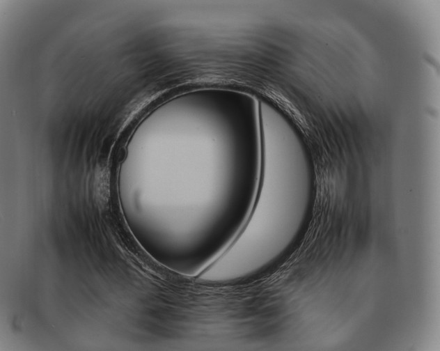 X0000092060484200709121009